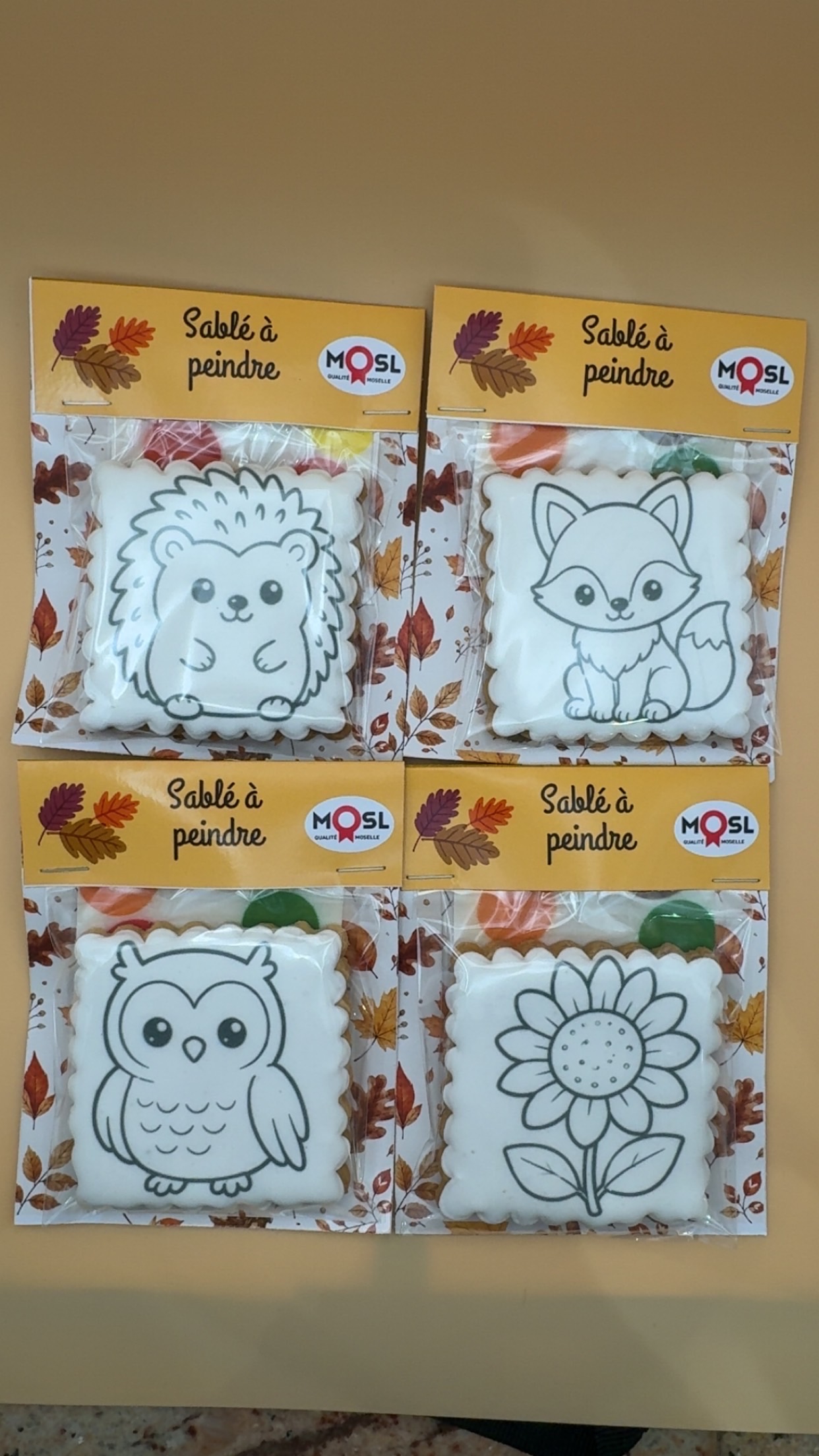 Sablé à peindre Automne – Modèle au choix