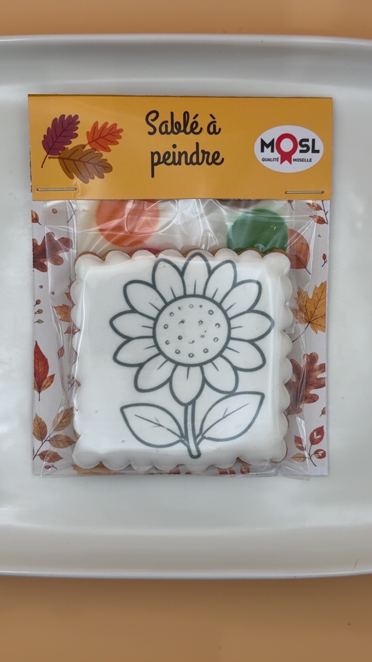 Sablé à peindre Automne – Modèle au choix – Image 5