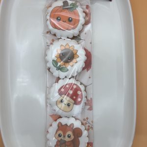 Stick de 4 sablés Automne décorés à la glace royale